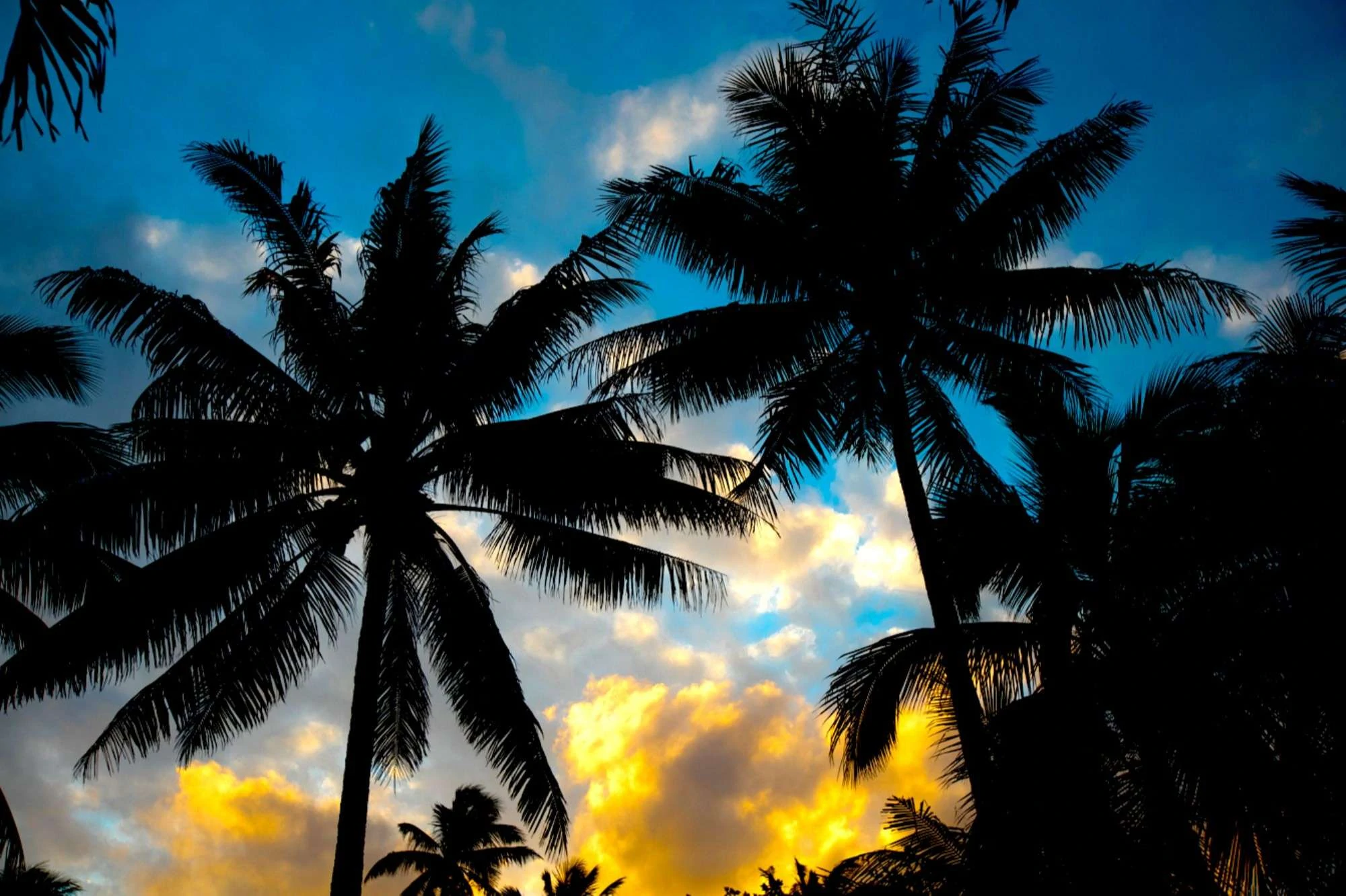 Beautiful Cook Island sunset from Motu Villas Hotel