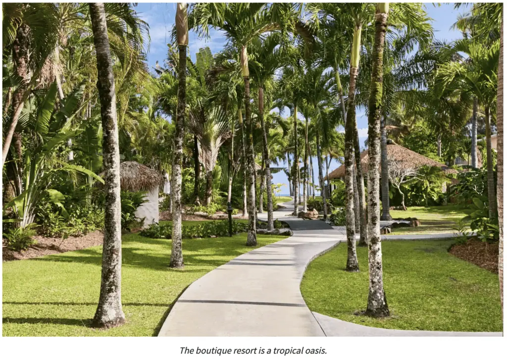 The boutique resort is a tropical oasis